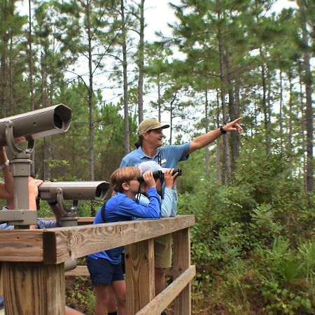 Eagle Cottages At Gulf State Park ガルフ・ショアーズ エクステリア 写真